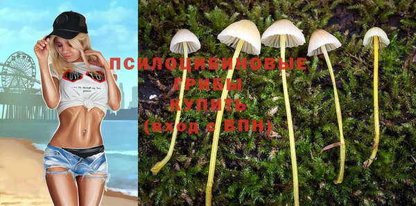 mix Краснослободск
