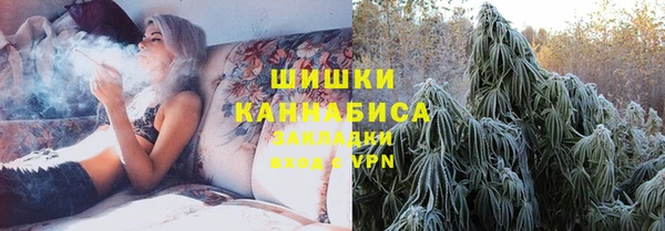 шишки Кукмор