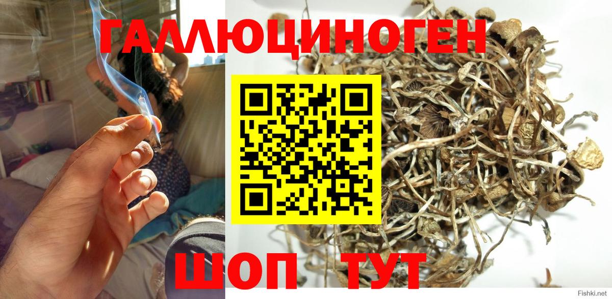 Галлюциногенные грибы MAGIC MUSHROOMS Темрюк